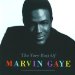 29-5 Marvin Gaye Greatest Hits