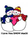 17-12 Snowmen in love