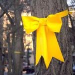 17-4 Tie a Yellow Ribbon