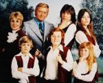 25-9 Partridge family image